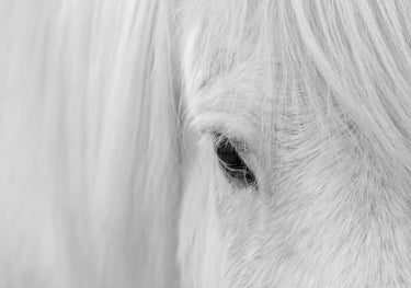 Quadro Whisper of Iceland by John Fan - Obrah | Quadros e Posters para Transformar a Parede