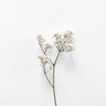 Quadro White Beauty 2 - Obrah | Quadros e Posters para Transformar a Parede
