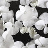Quadro White Beauty on Black - Obrah | Quadros e Posters para Transformar a Parede