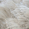 Quadro White Beige Boho Dreams Pampas - Obrah | Quadros e Posters para Transformar a Parede
