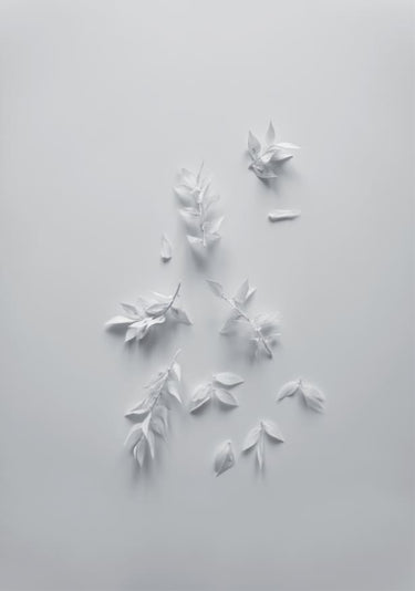 Quadro White Minimal Flowers - Obrah | Quadros e Posters para Transformar a Parede