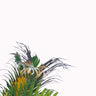 Quadro White Sky and Palm Tree #2 - Obrah | Quadros e Posters para Transformar a Parede