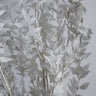 Quadro White Sunny Leafs - Obrah | Quadros e Posters para Transformar a Parede