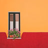 Quadro Window Flower By Rolf Endermann - Obrah | Quadros e Posters para Transformar a Parede