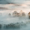 Quadro Winter Fog by Marco Galimberti - Obrah | Quadros e Posters para Transformar a Parede