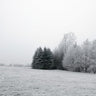 Quadro Winter Wonderland - Obrah | Quadros e Posters para Transformar a Parede
