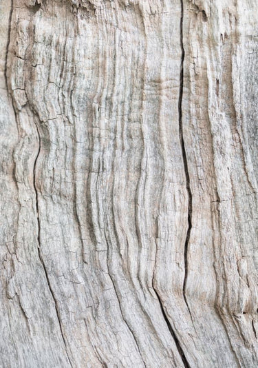 Quadro Wood Pattern By 1x Studio III - Obrah | Quadros e Posters para Transformar a Parede