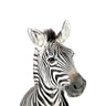 Quadro Zebra - Obrah | Quadros e Posters para Transformar a Parede